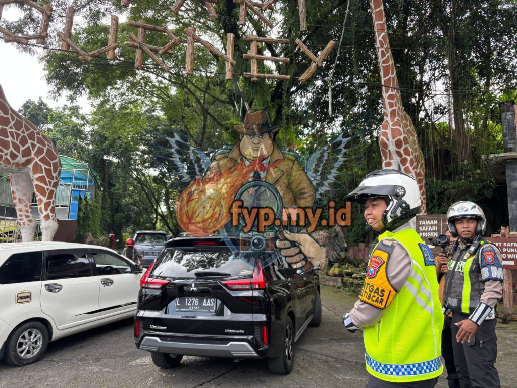 WhatsApp Image 2025 12 29 at 17.11.29